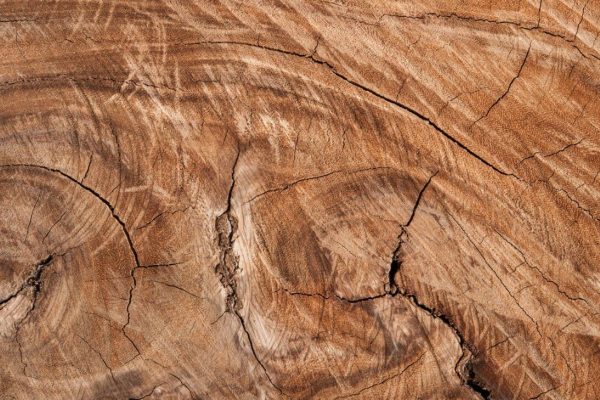 weathered-wooden-surface
